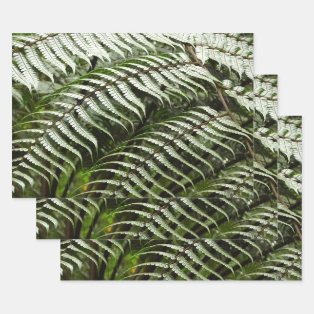 Fern Fronds II Dark Green Nature Wrapping Paper Sheets (Set)