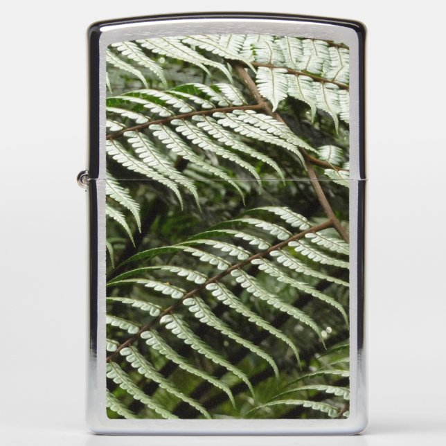 Fern Fronds II Dark Green Nature Zippo Lighter (Front)