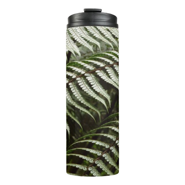 Fern Fronds II Thermal Tumbler (Front)