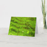 Fern Fronds III Green Nature Botanical Card