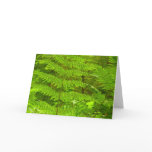 Fern Fronds III Green Nature Botanical Card