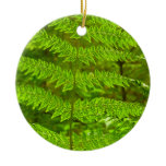 Fern Fronds III Green Nature Botanical Ceramic Ornament