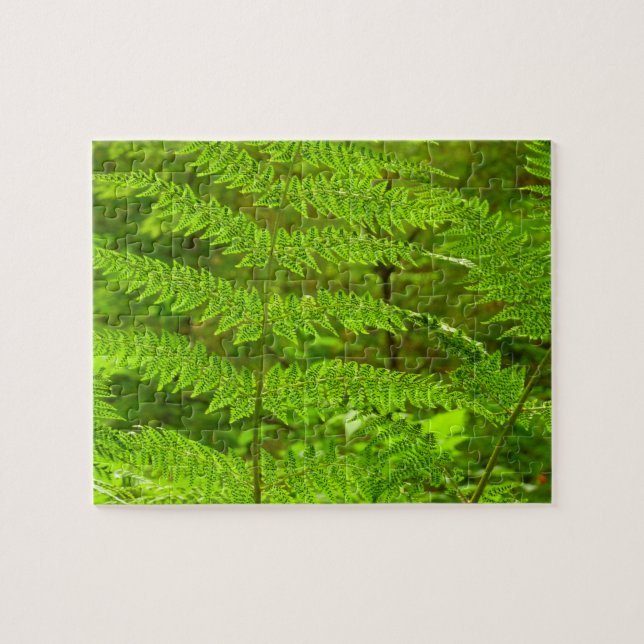 Fern Fronds III Green Nature Botanical Jigsaw Puzzle (Horizontal)