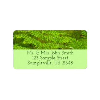 Fern Fronds III Green Nature Botanical Label