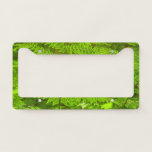 Fern Fronds III Green Nature Botanical License Plate Frame