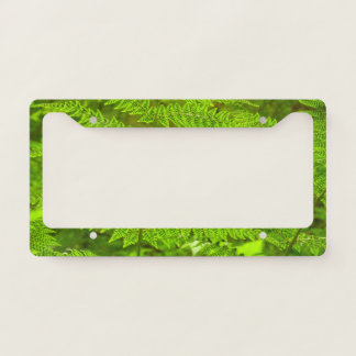 Fern Fronds III Green Nature Botanical License Plate Frame
