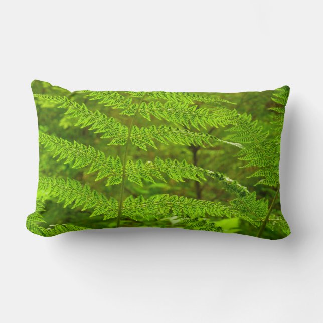 Fern Fronds III Green Nature Botanical Lumbar Pillow (Front)