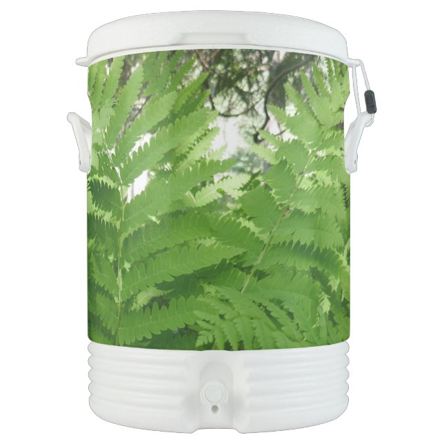 Fern Fronds IV Green Nature Botanical Beverage Cooler (Front)