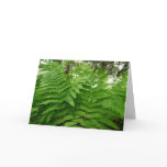 Fern Fronds IV Green Nature Botanical Card