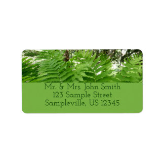 Fern Fronds IV Green Nature Botanical Label
