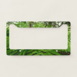 Fern Fronds IV Green Nature Botanical License Plate Frame