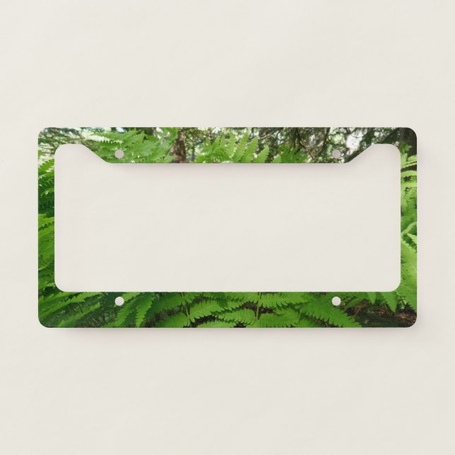 Fern Fronds IV Green Nature Botanical License Plate Frame (Front)