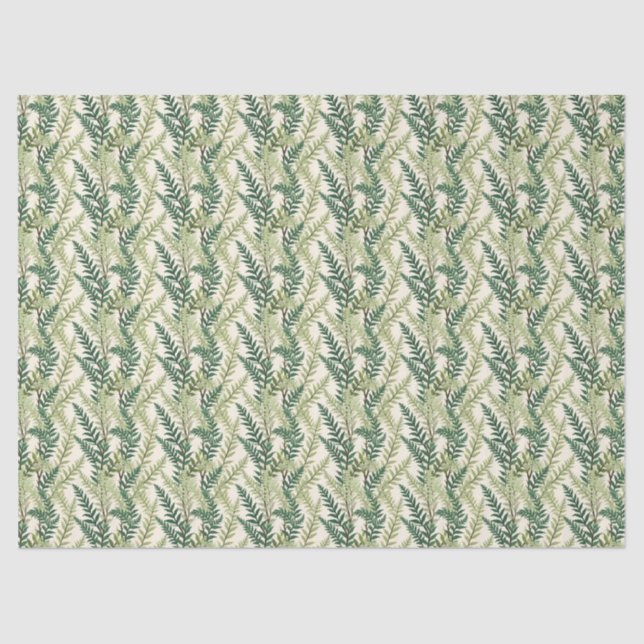 Fern Fronds Tissue Paper (Front)