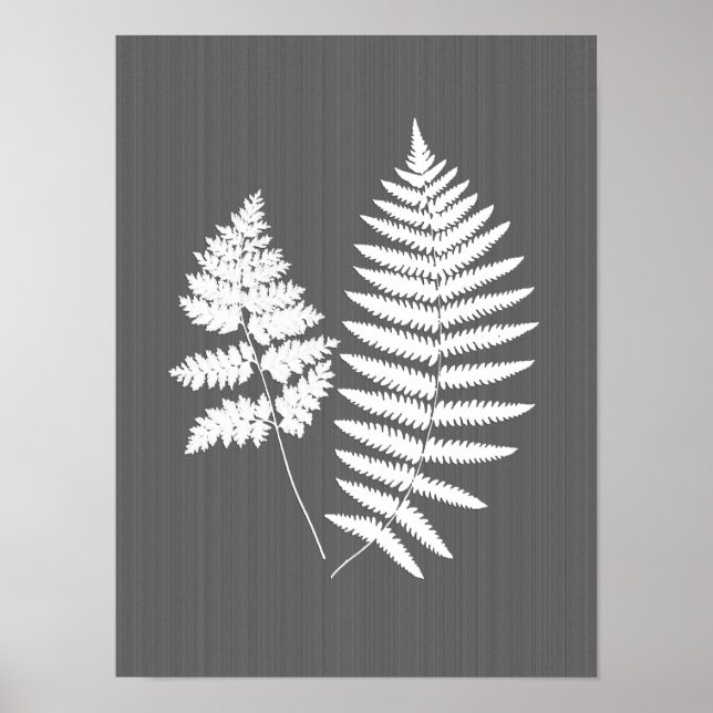 Fern Fronds, White on Charcoal Gray / Grey Poster (Front)