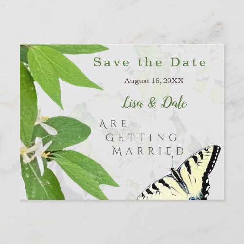 Fern Greens Tiger Shallow Butterfly Save the Date Postcard