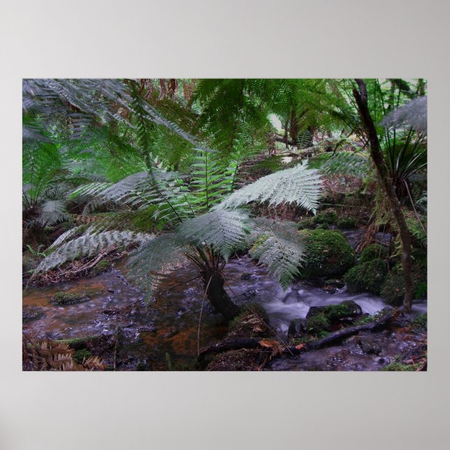 Fern gully poster (Front)