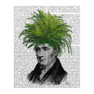 Fern Head Plant Head Acrylic Print