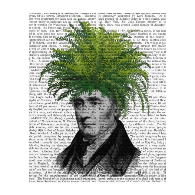 Fern Head Plant Head Acrylic Print (Front)
