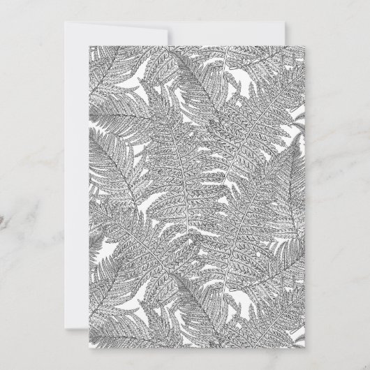 Fern in black and white (Front)