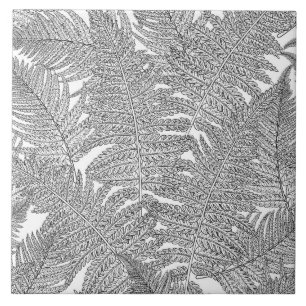 Fern in black and white ceramic tile