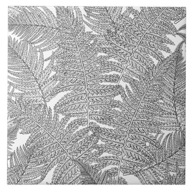 Fern in black and white ceramic tile (Front)