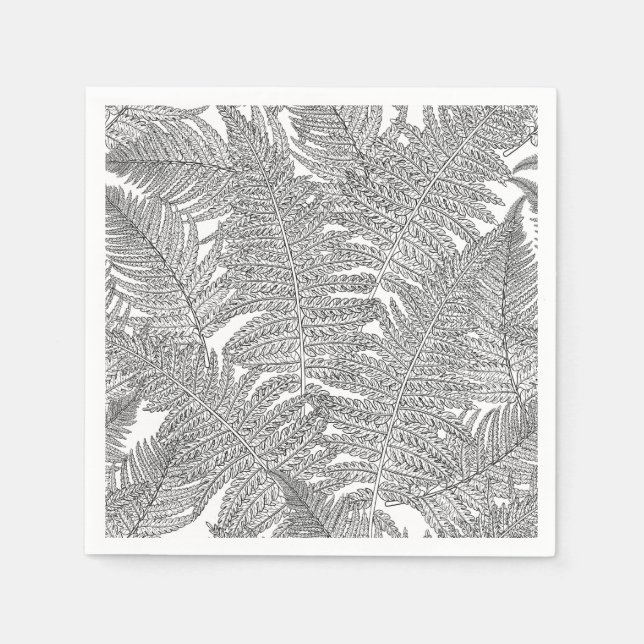 Fern in black and white napkins (Front)