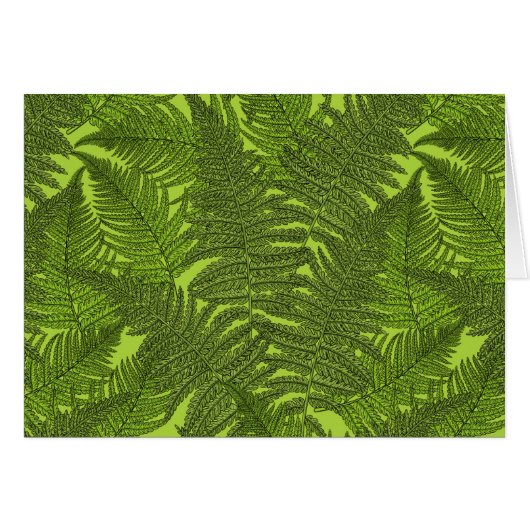 Fern in green (Front Horizontal)