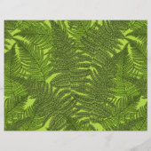 Fern in green (Back)