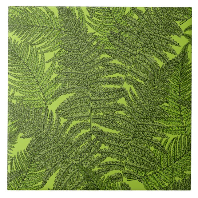 Fern in green ceramic tile (Front)