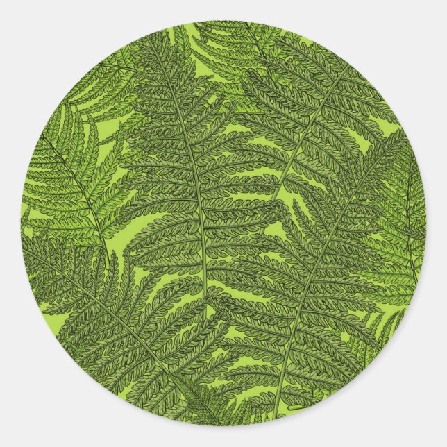 Fern in green classic round sticker (Front)