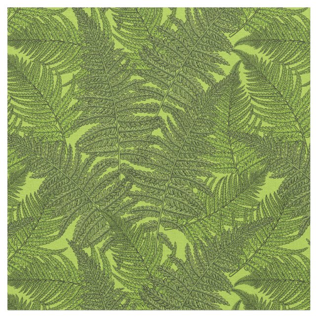 Fern in green fabric (Close Up)