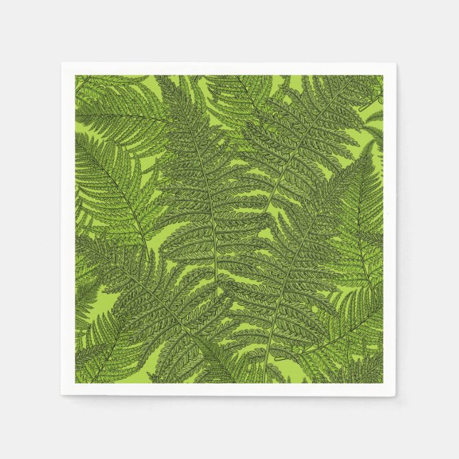 Fern in green napkins (Front)