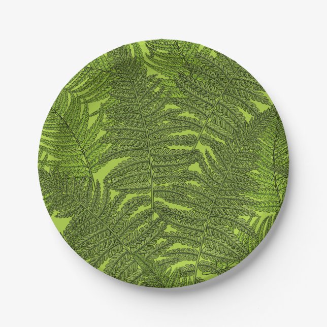Fern in green paper plates (Front)