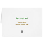Fern in rock wall, Galway, Ireland Cards (Back Horizontal)