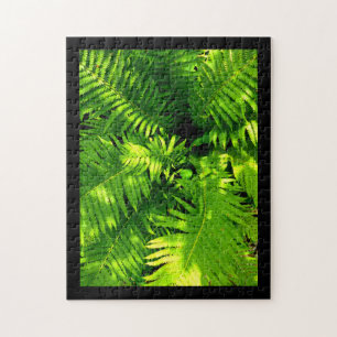 Fern Jigsaw Puzzle