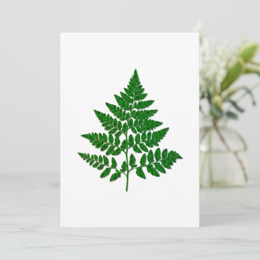 Fern leaf (Standing Front)