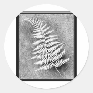 FERN LEAF CLASSIC ROUND STICKER