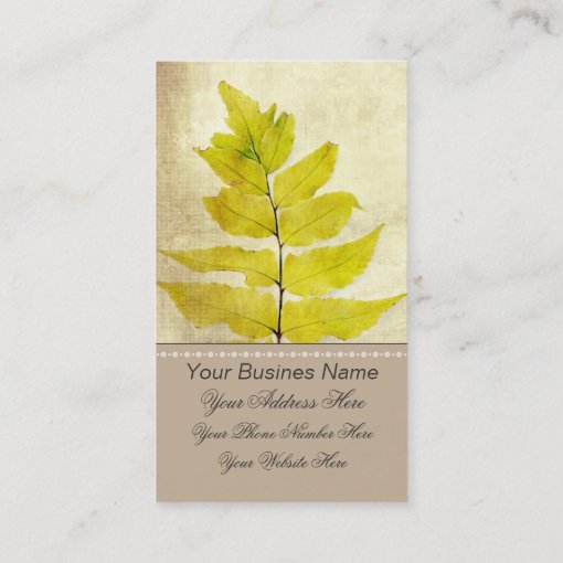 Fern leaf grunge vintage business card | Zazzle