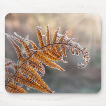 Fern Leaf With Icy Frost In A Cold Winter Nature - Mouse Pad by Kathom_Photo at Zazzle