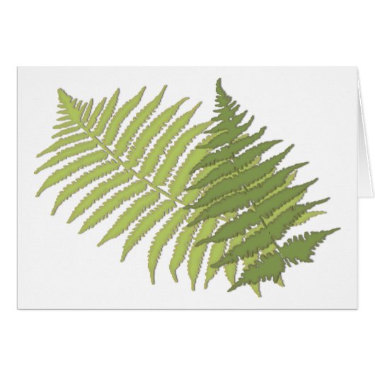 Fern Leaves (Front Horizontal)