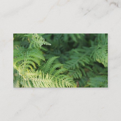 Customizable Fern Leaves. Business Card