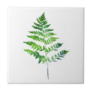 Fern Leaves Ceramic Tile