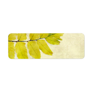Fern leaves grunge design label