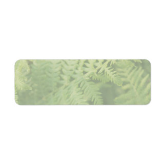 Fern Leaves, Light Green. Label