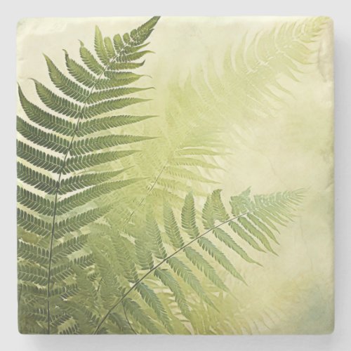 Fern Leaves Pastel Toned Dappled Sunlight Art Stone Coaster