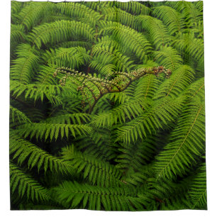 Fern Leaves Portrait Shower Curtain