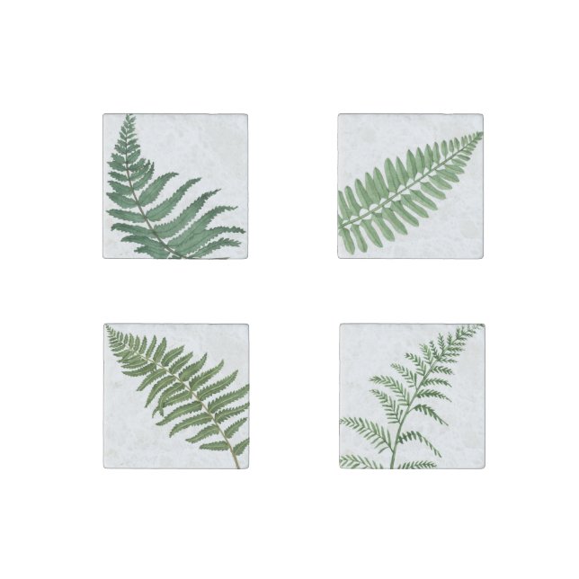Fern - Magnets (Front)