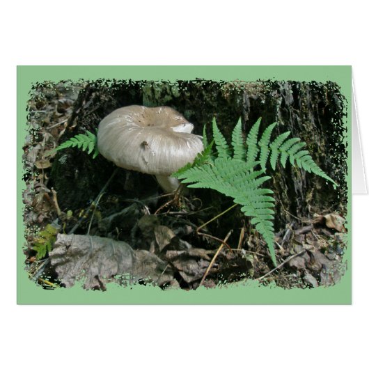 Fern & Mushroom at Stump Coordinating Items Cards (Front Horizontal)