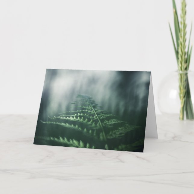 Fern Nature Photo Card (Front)