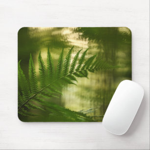 Fern Nature Photo Mouse Pad